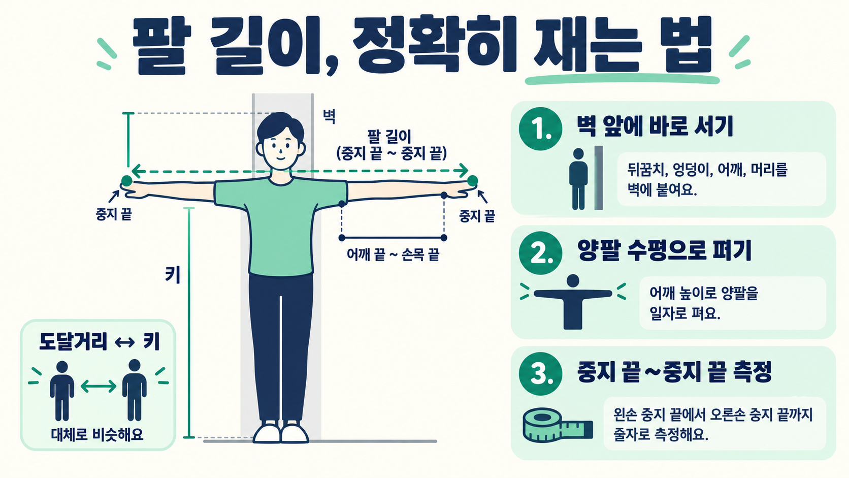 남녀 팔 길이 재는 법과 평균: 도달거리·비율 확인 가이드 정보 카드