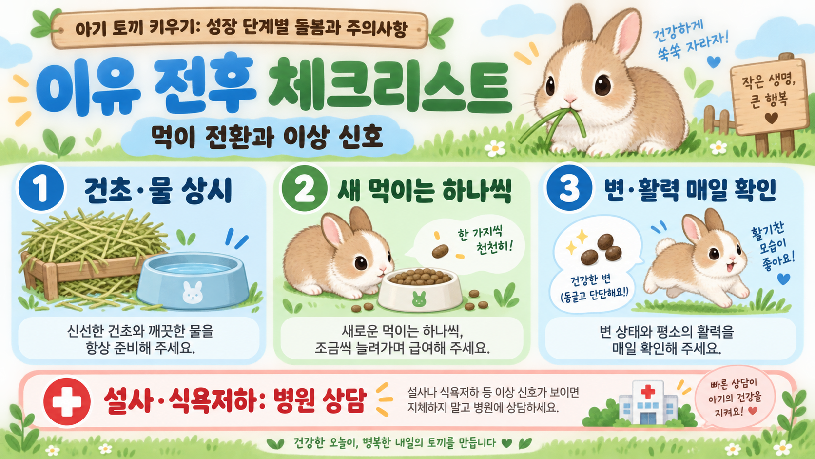 아기 토끼 키우기: 성장 단계별 돌봄과 주의사항 확인 정보 카드