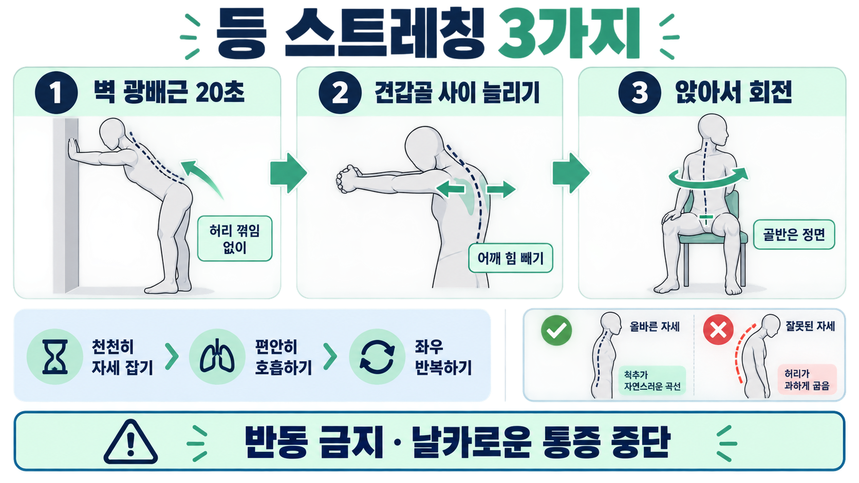 등 근육 스트레칭 및 강화 운동: 통증 부담을 줄이는 안전한 루틴 관련 정보 카드