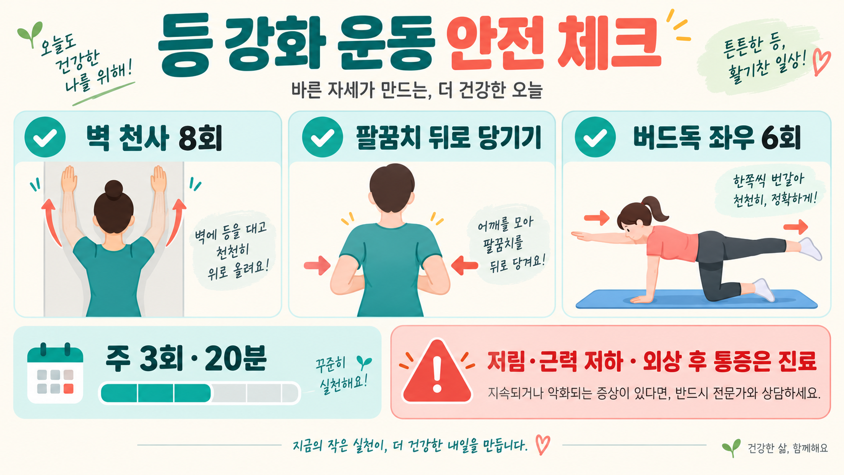 등 근육 스트레칭 및 강화 운동: 통증 부담을 줄이는 안전한 루틴 확인 정보 카드