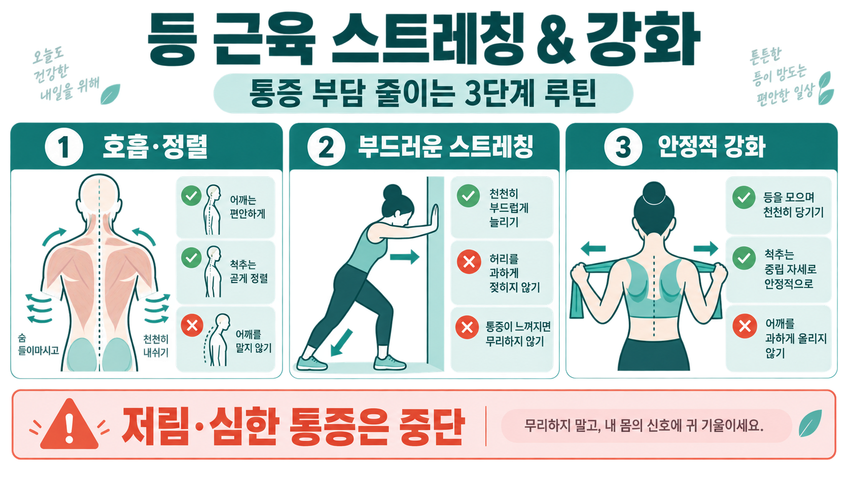 등 근육 스트레칭 및 강화 운동: 통증 부담을 줄이는 안전한 루틴 정보 카드