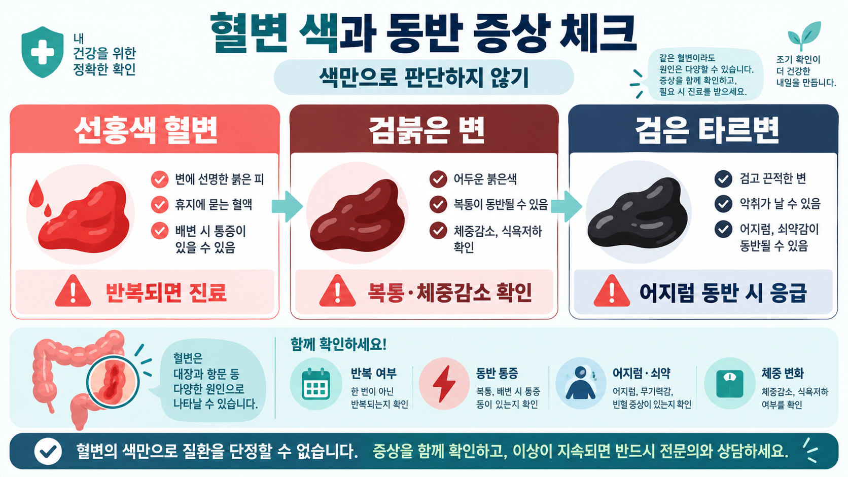 혈변을 가볍게 넘기지 말아야 하는 이유: 치질과 대장암의 차이와 진료 신호 관련 정보 카드