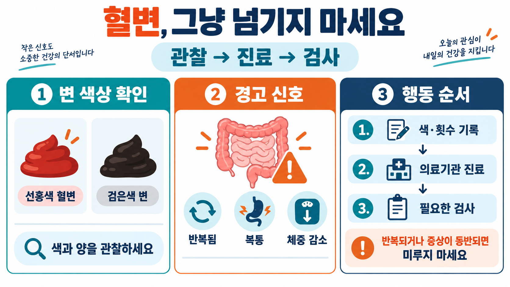 혈변을 가볍게 넘기지 말아야 하는 이유: 치질과 대장암의 차이와 진료 신호 정보 카드