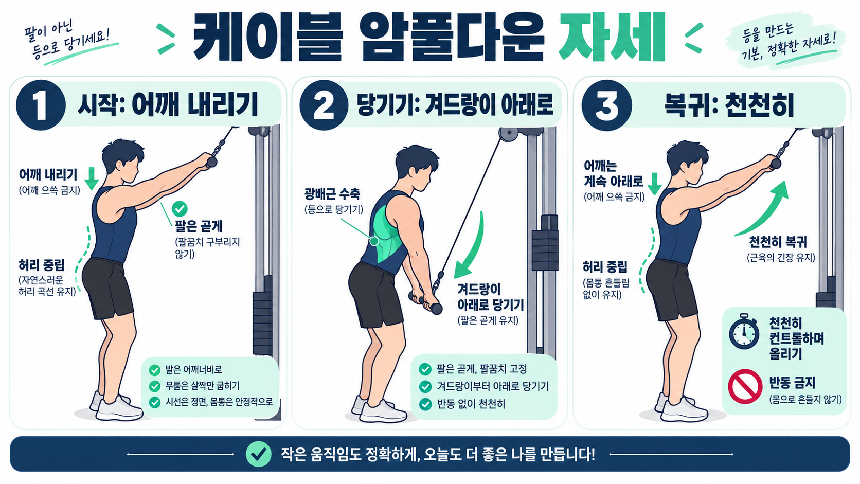 케이블 암풀다운 자세와 운동 방법: 등 자극을 높이는 체크포인트 정보 카드