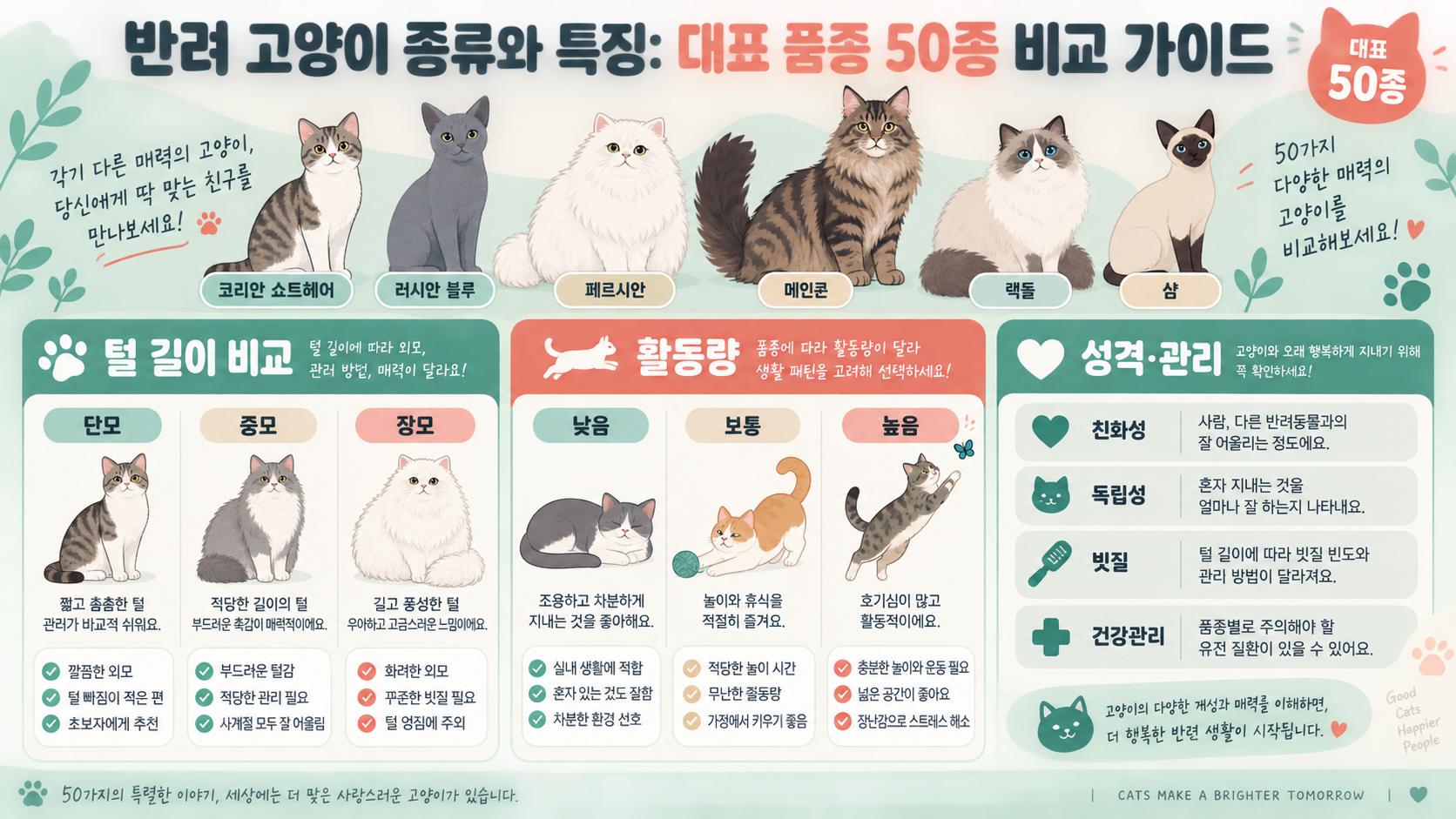 반려 고양이 종류와 특징: 대표 품종 50종 비교 가이드 정보 카드