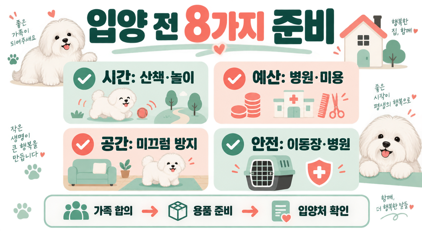 꼬똥 드 툴레아 입양 전, 초보 견주가 확인할 8가지 관련 정보 카드