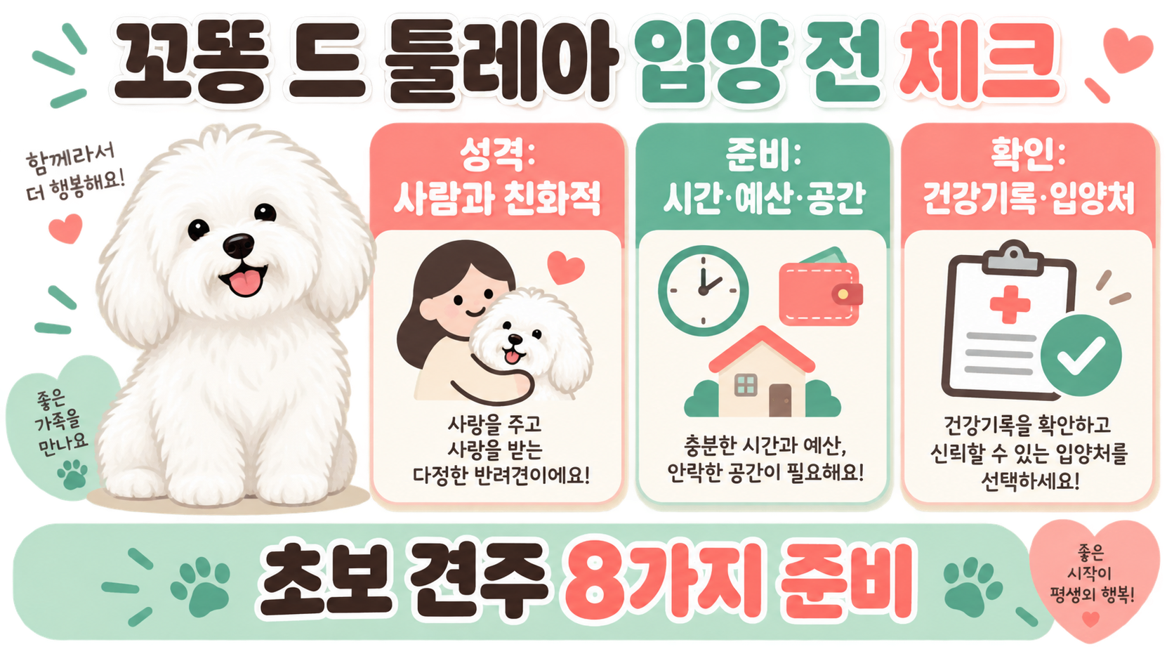 꼬똥 드 툴레아 입양 전, 초보 견주가 확인할 8가지 정보 카드