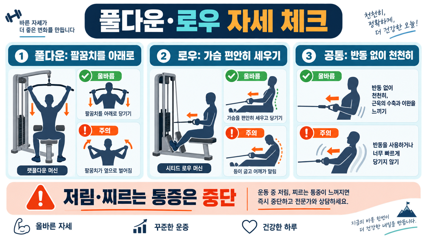 초보자부터 중급자까지 등운동 루틴 가이드 관련 정보 카드