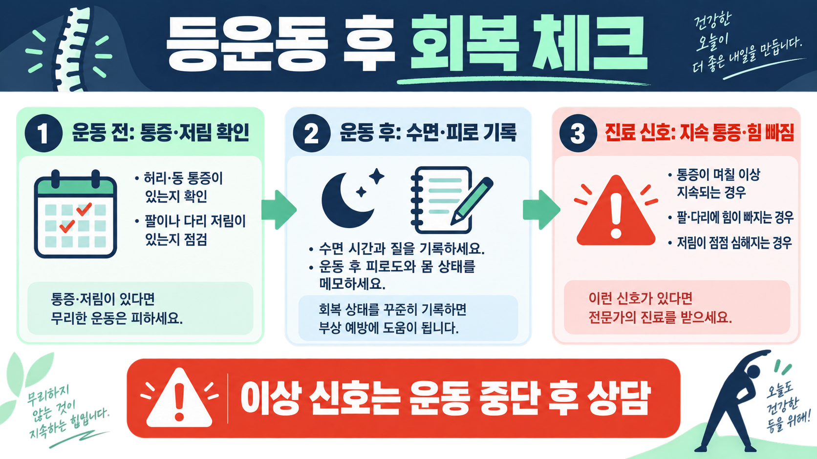초보자부터 중급자까지 등운동 루틴 가이드 확인 정보 카드