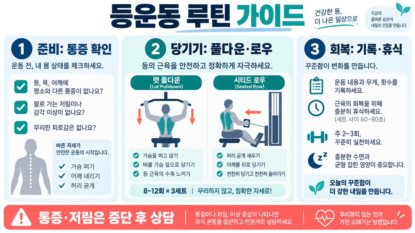초보자부터 중급자까지 등운동 루틴 가이드 정보 카드