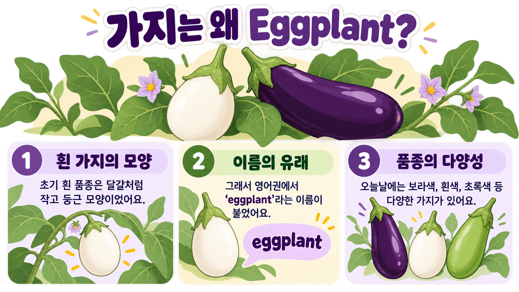 가지는 왜 Eggplant라고 부를까? 흰 가지와 이름의 유래 정보 카드
