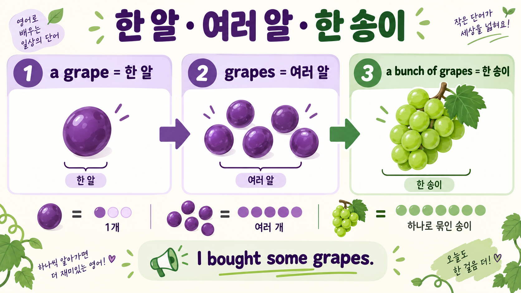포도 영어 표현: grape와 grapes 차이, 상황별 활용법 관련 정보 카드
