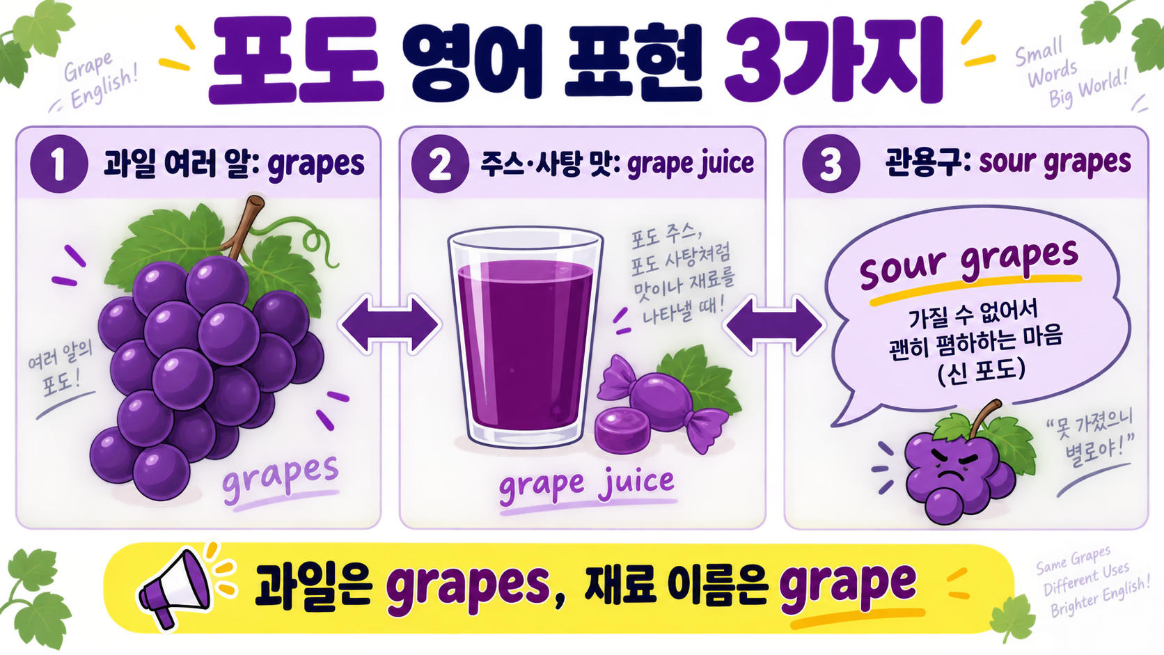 포도 영어 표현: grape와 grapes 차이, 상황별 활용법 확인 정보 카드