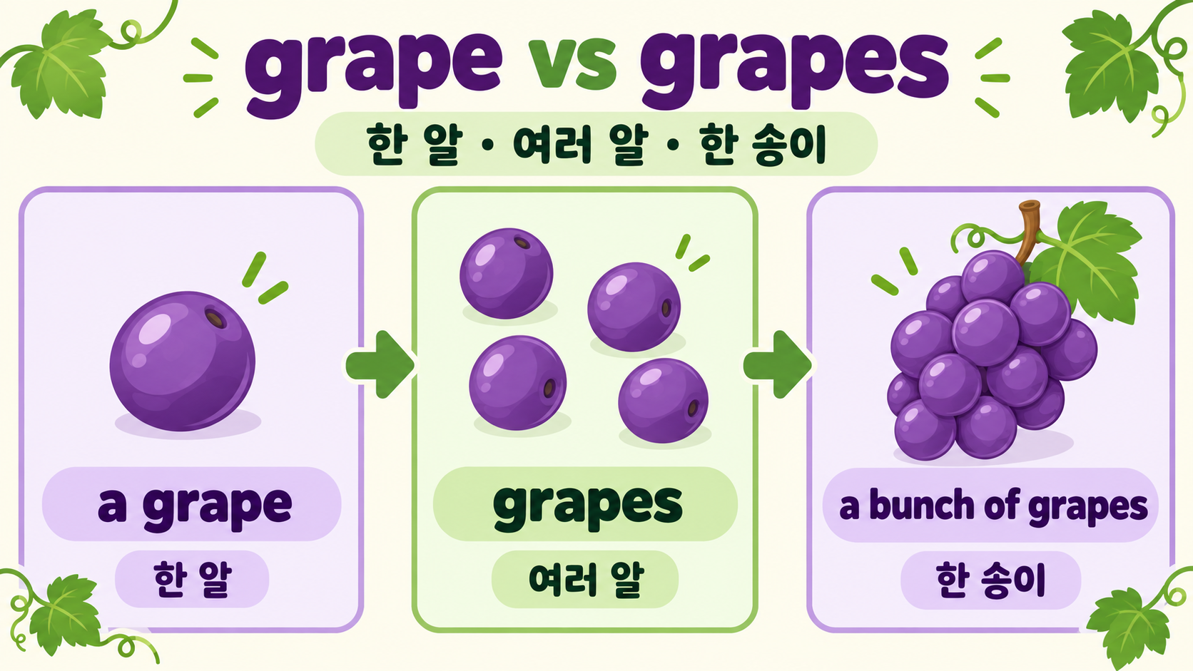 포도 영어 표현: grape와 grapes 차이, 상황별 활용법 정보 카드