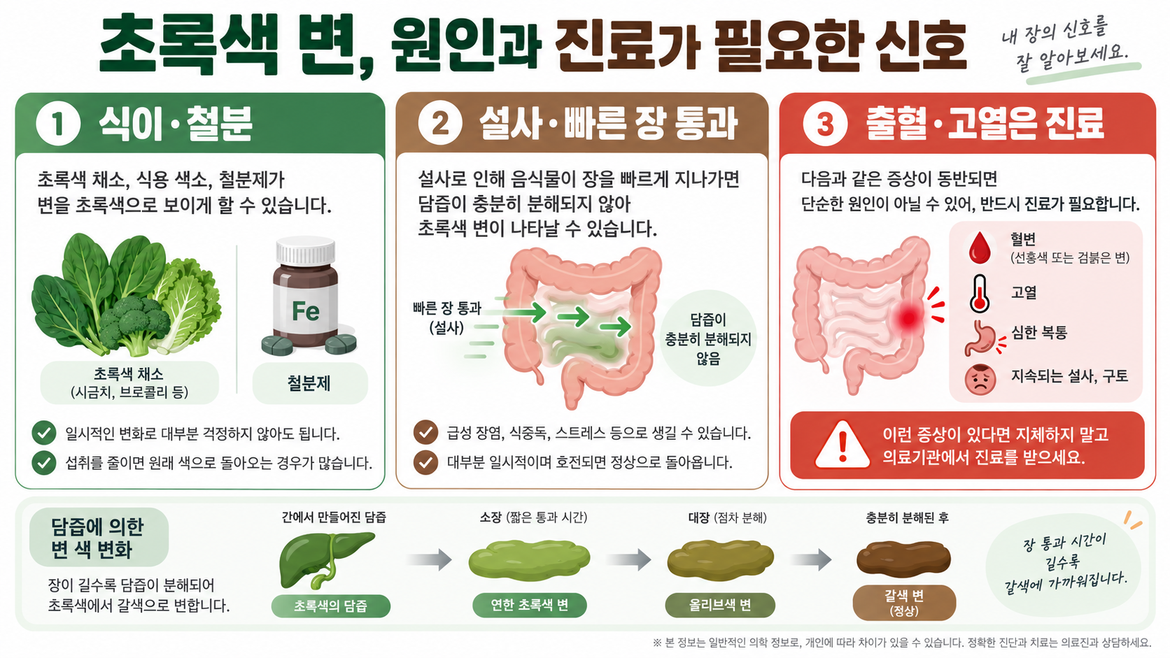 초록색 변, 원인과 진료가 필요한 신호 정보 카드