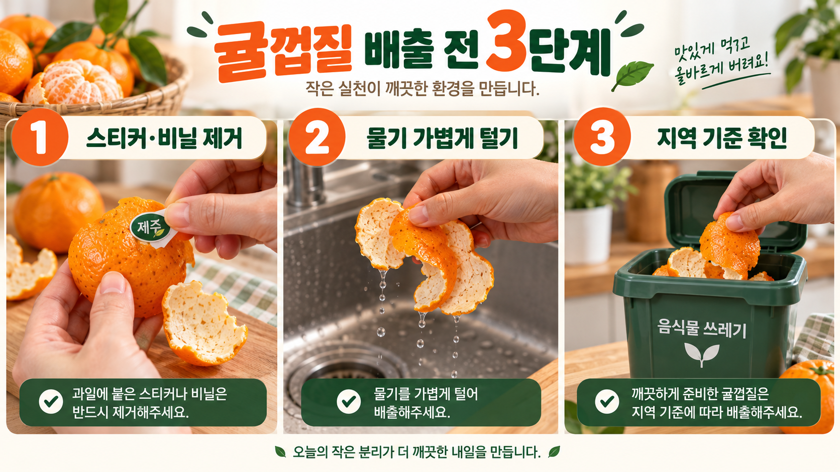 귤껍질 분리배출 방법: 음식물쓰레기 기준과 지역별 확인법 관련 정보 카드