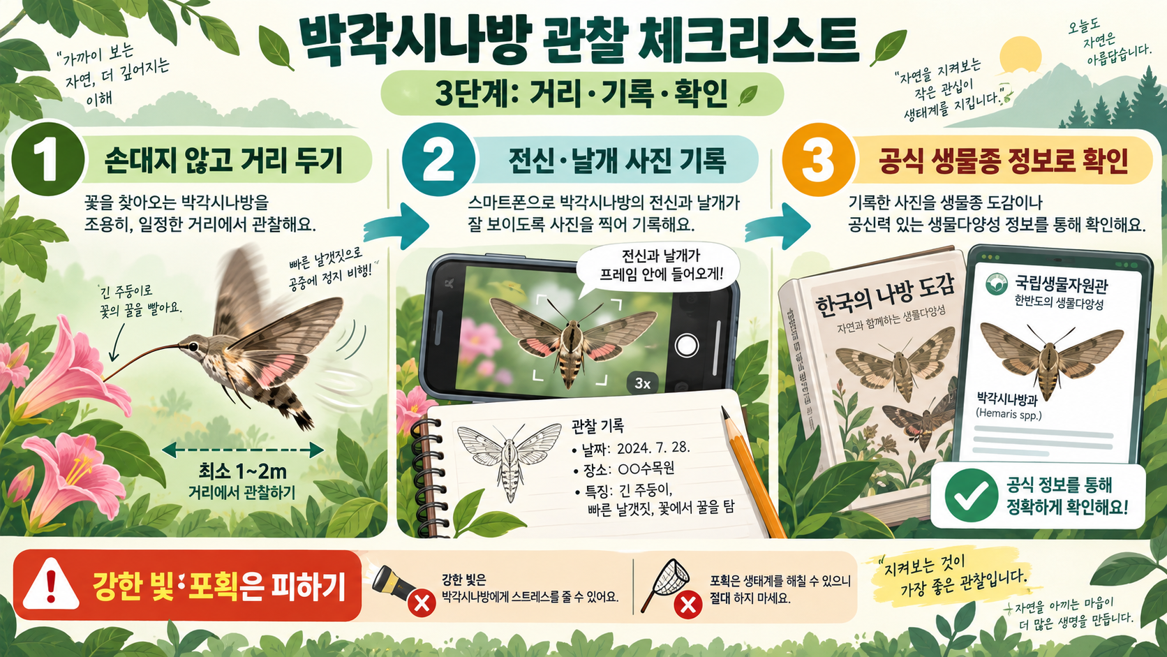 벌새와 혼동하는 박각시나방: 한국에서 만나는 종류와 구별법 확인 정보 카드