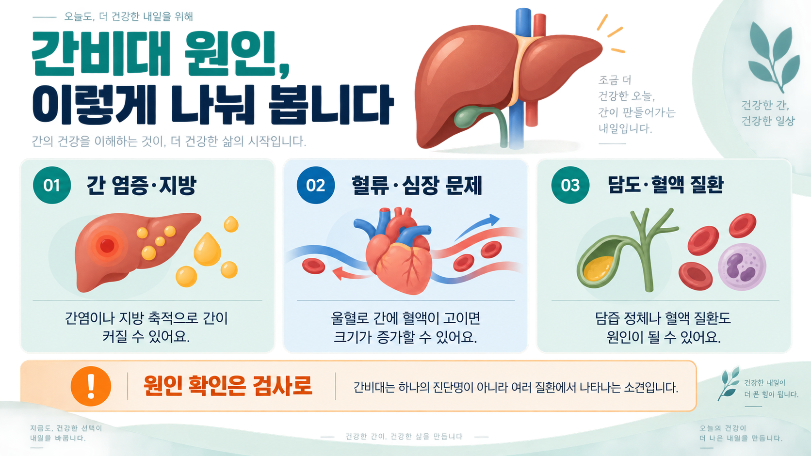 간비대(간이 부었을 때) 원인과 증상, 진료가 필요한 신호 관련 정보 카드