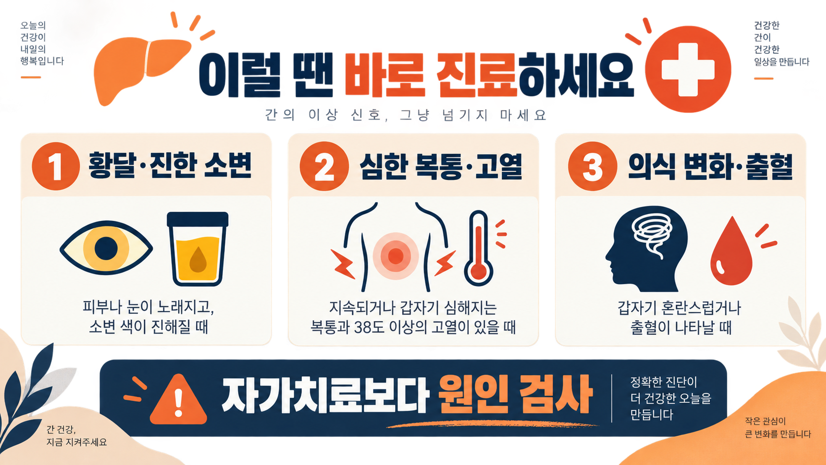간비대(간이 부었을 때) 원인과 증상, 진료가 필요한 신호 확인 정보 카드