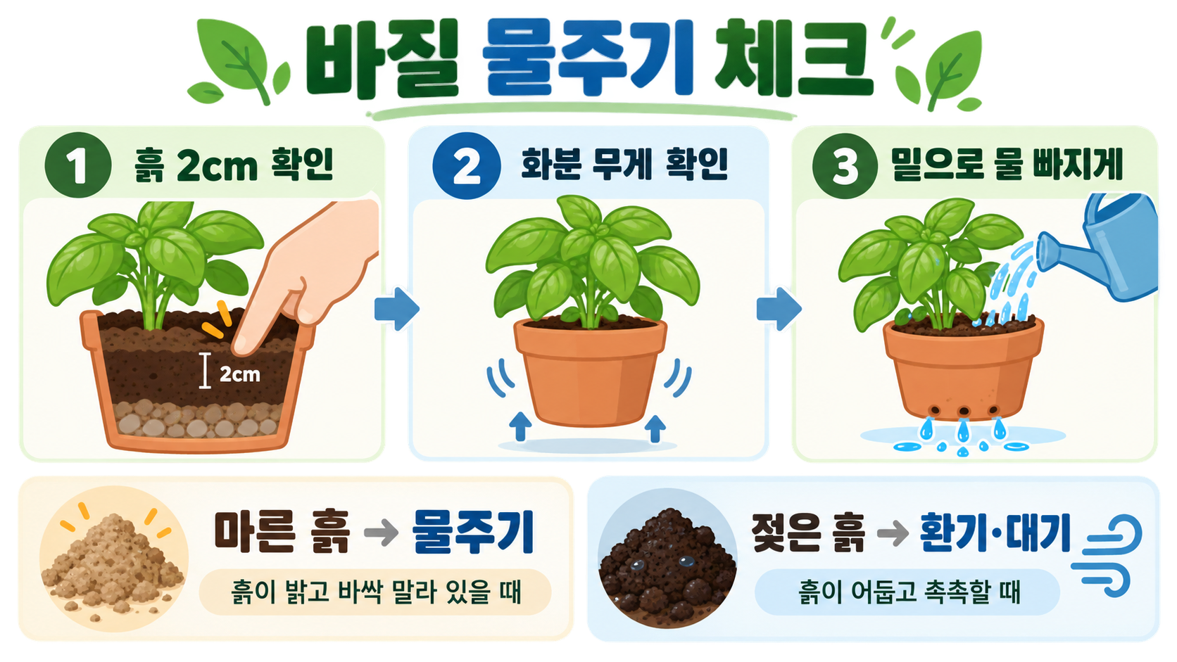 집에서 바질 키우기: 햇빛·물주기·수확까지 초보자 가이드 관련 정보 카드