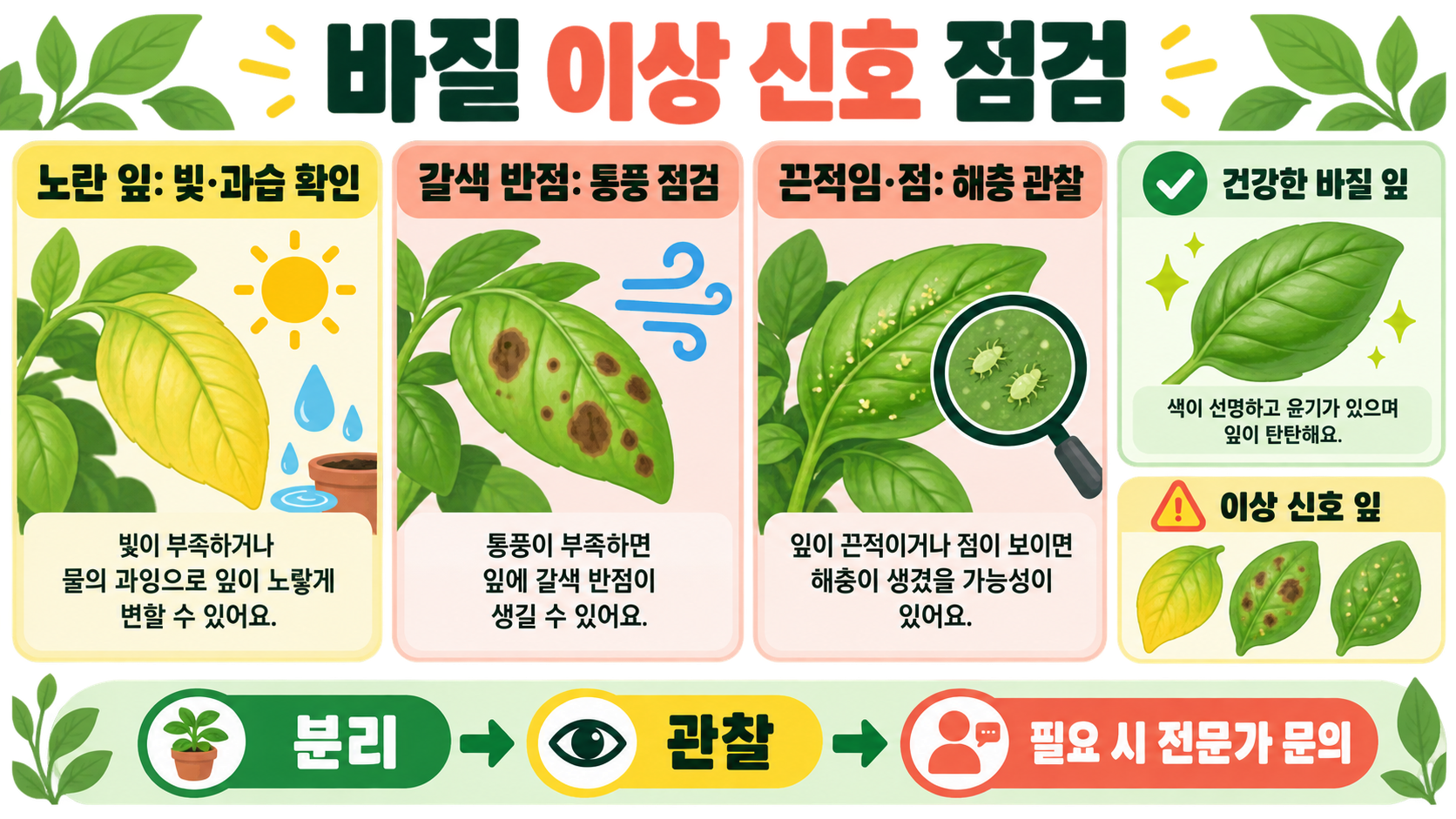 집에서 바질 키우기: 햇빛·물주기·수확까지 초보자 가이드 확인 정보 카드