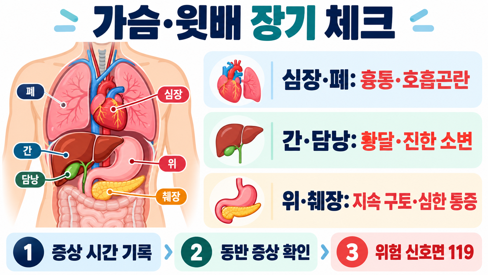 인체 장기 위치와 기능: 주요 장기별 역할과 확인 방법 관련 정보 카드