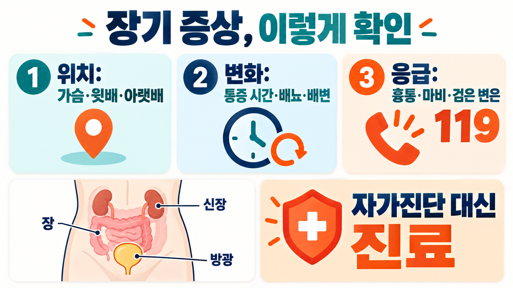 인체 장기 위치와 기능: 주요 장기별 역할과 확인 방법 확인 정보 카드
