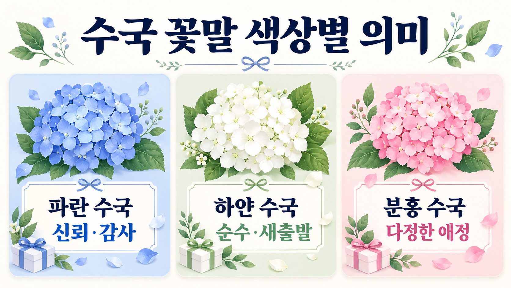 수국 꽃말 색상별 의미: 파란·하얀·분홍 수국 알아보기 정보 카드