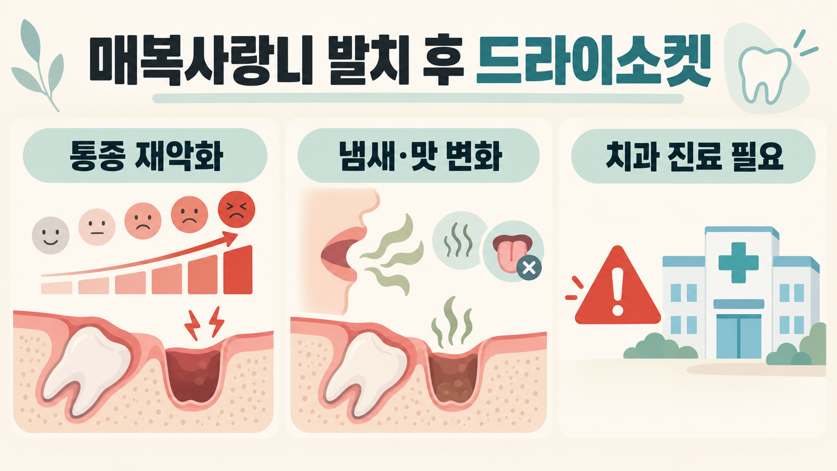 매복사랑니 발치 후 드라이소켓: 증상·대처·진료 신호 정보 카드