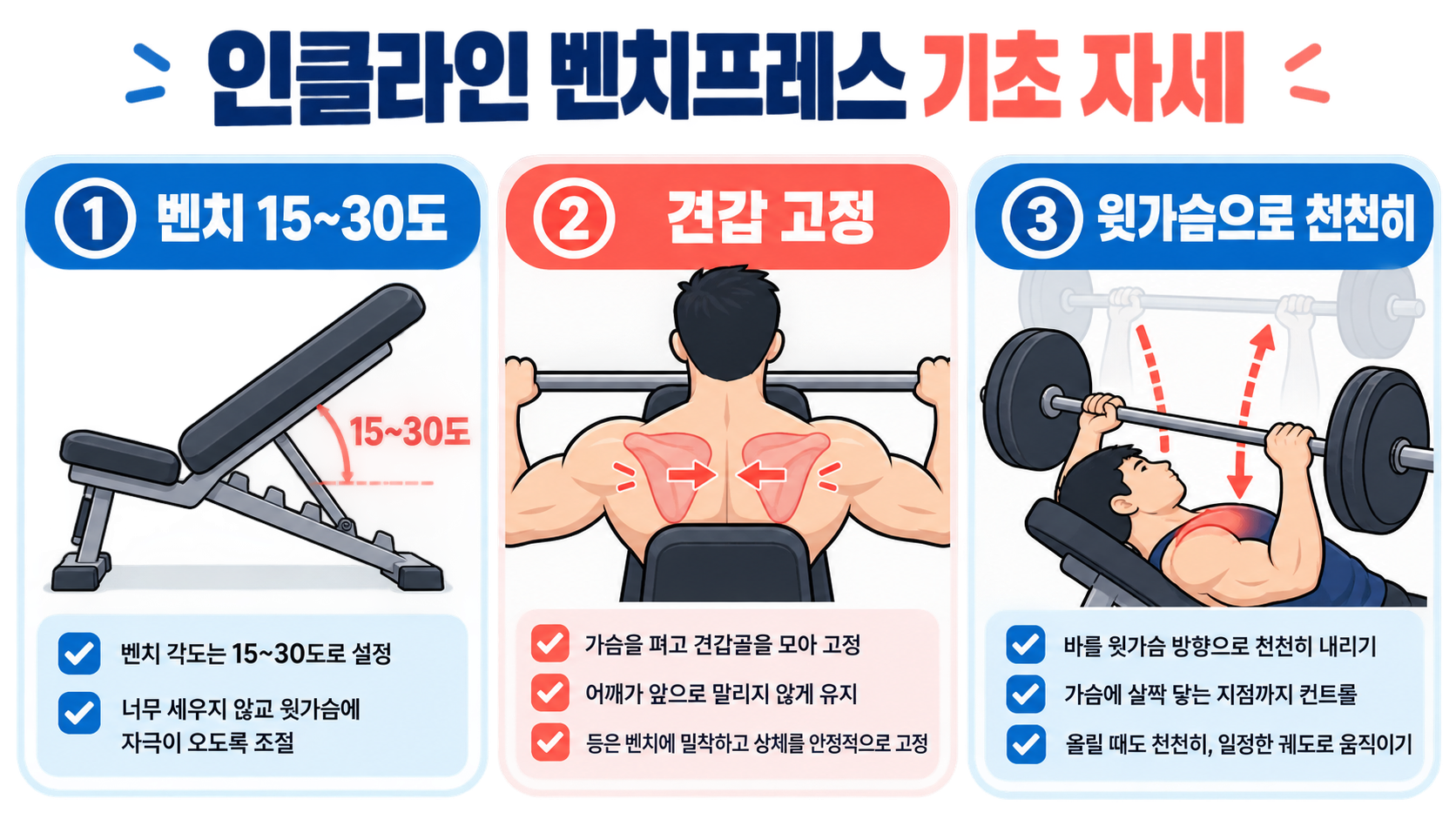인클라인 벤치프레스 기초 자세: 안전하고 정확한 키포인트 가이드 정보 카드