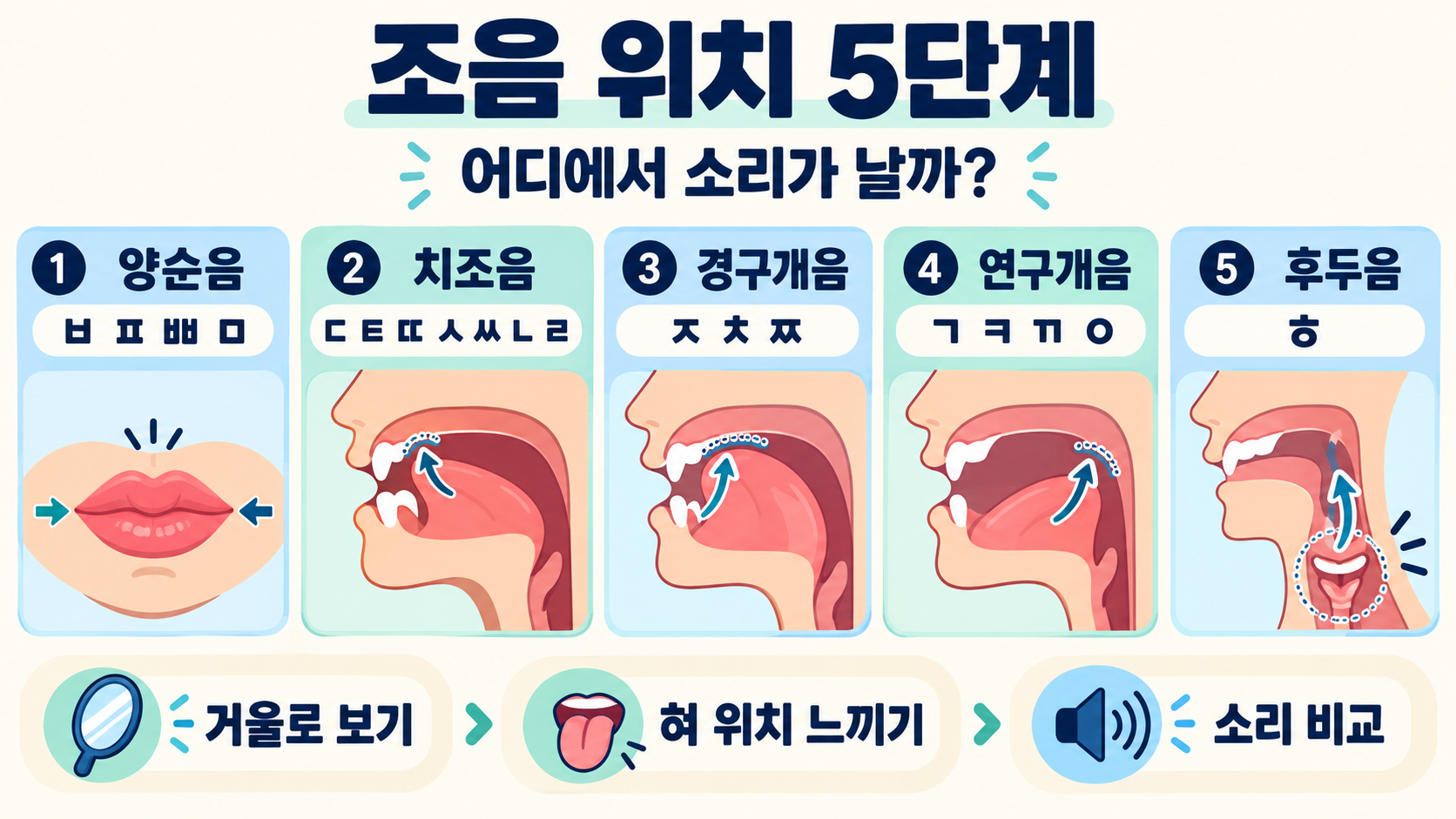 국어 자음 체계표 완전 정리: 조음 위치·방법과 발음기관 관련 정보 카드