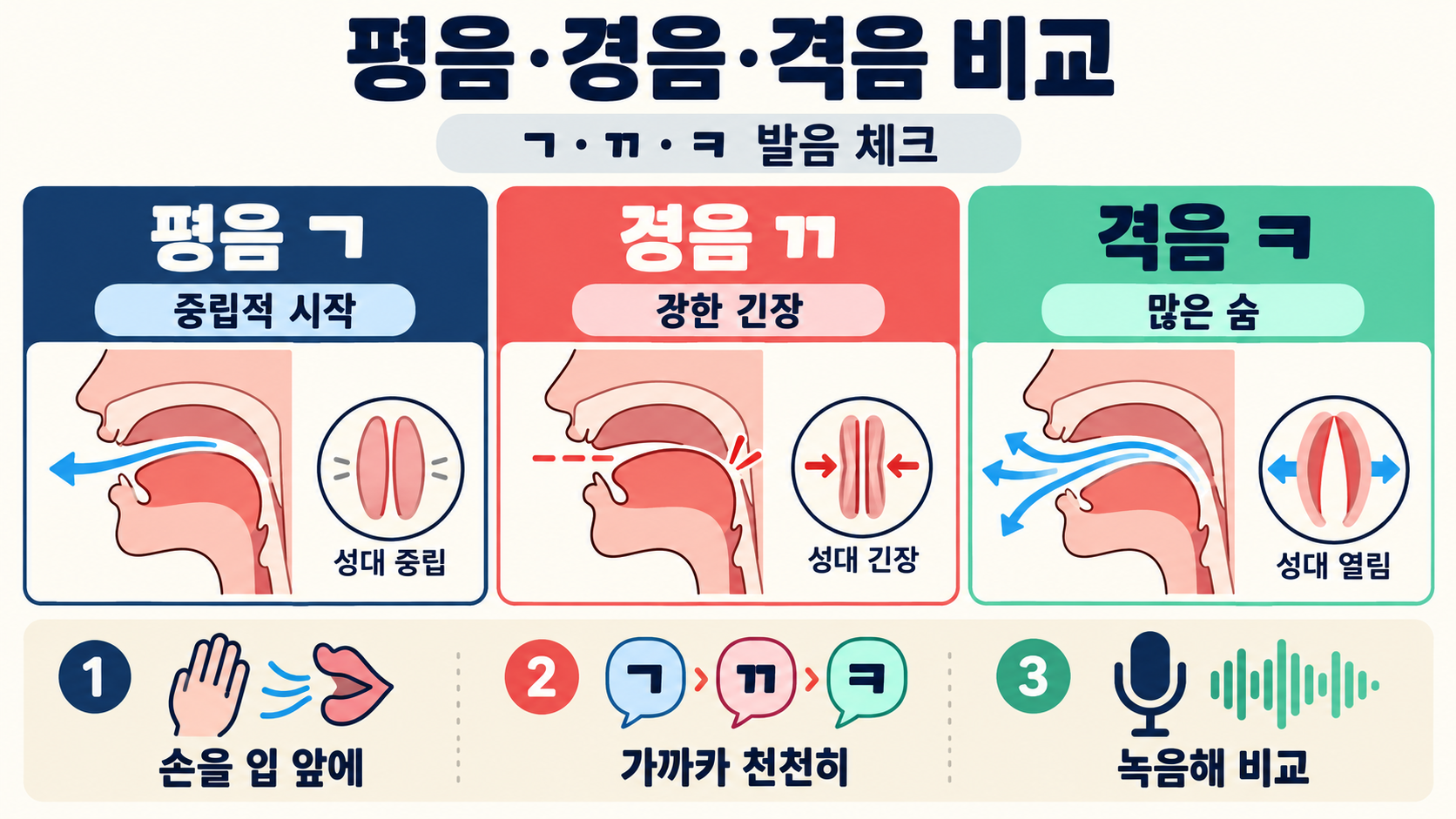 국어 자음 체계표 완전 정리: 조음 위치·방법과 발음기관 확인 정보 카드