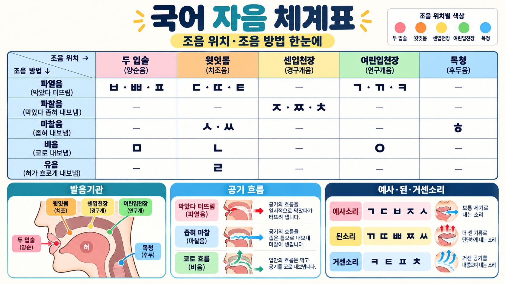 국어 자음 체계표 완전 정리: 조음 위치·방법과 발음기관 정보 카드