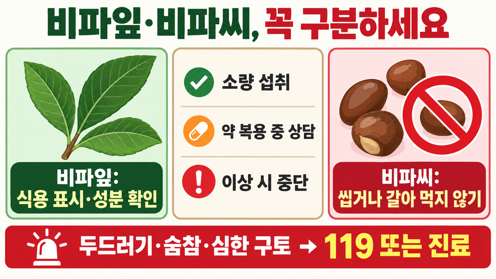 비파 열매·잎·씨, 섭취 전 알아둘 안전 가이드 확인 정보 카드
