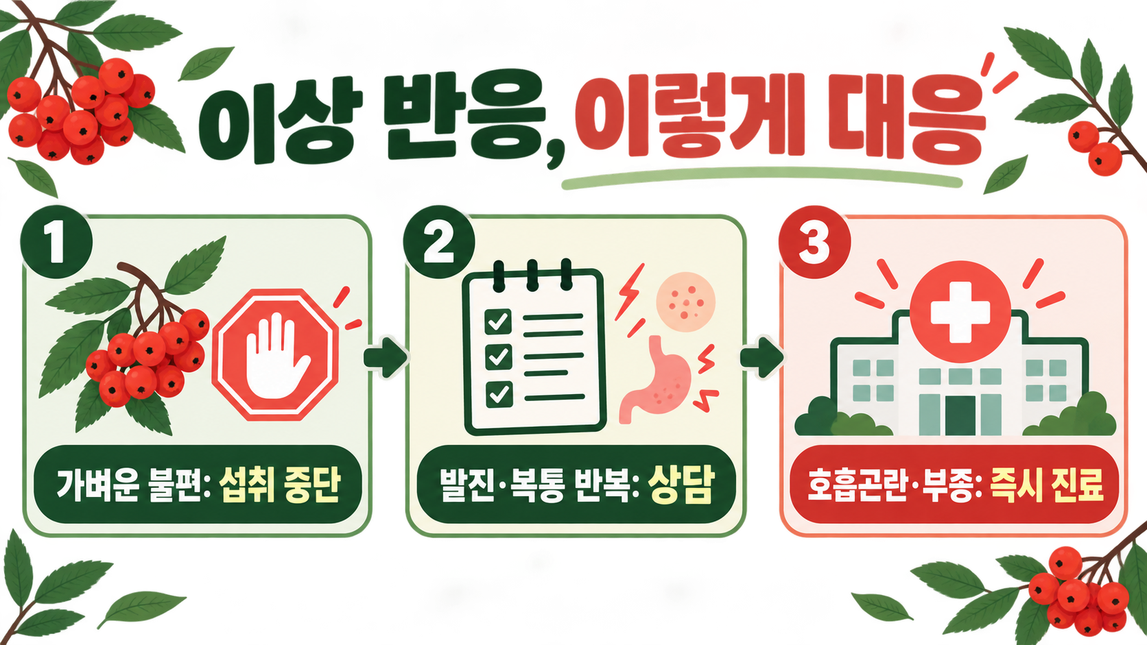 마가목 효능과 활용법: 열매·잎 섭취 전 알아둘 점 확인 정보 카드