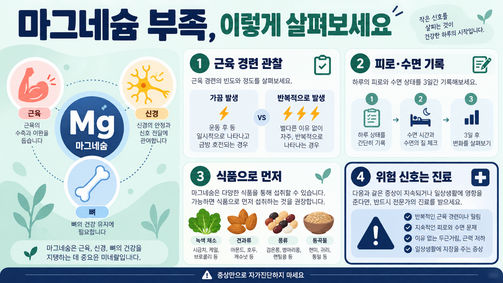 마그네슘 부족 증상과 함유 음식: 일상에서 확인하는 섭취 가이드 정보 카드