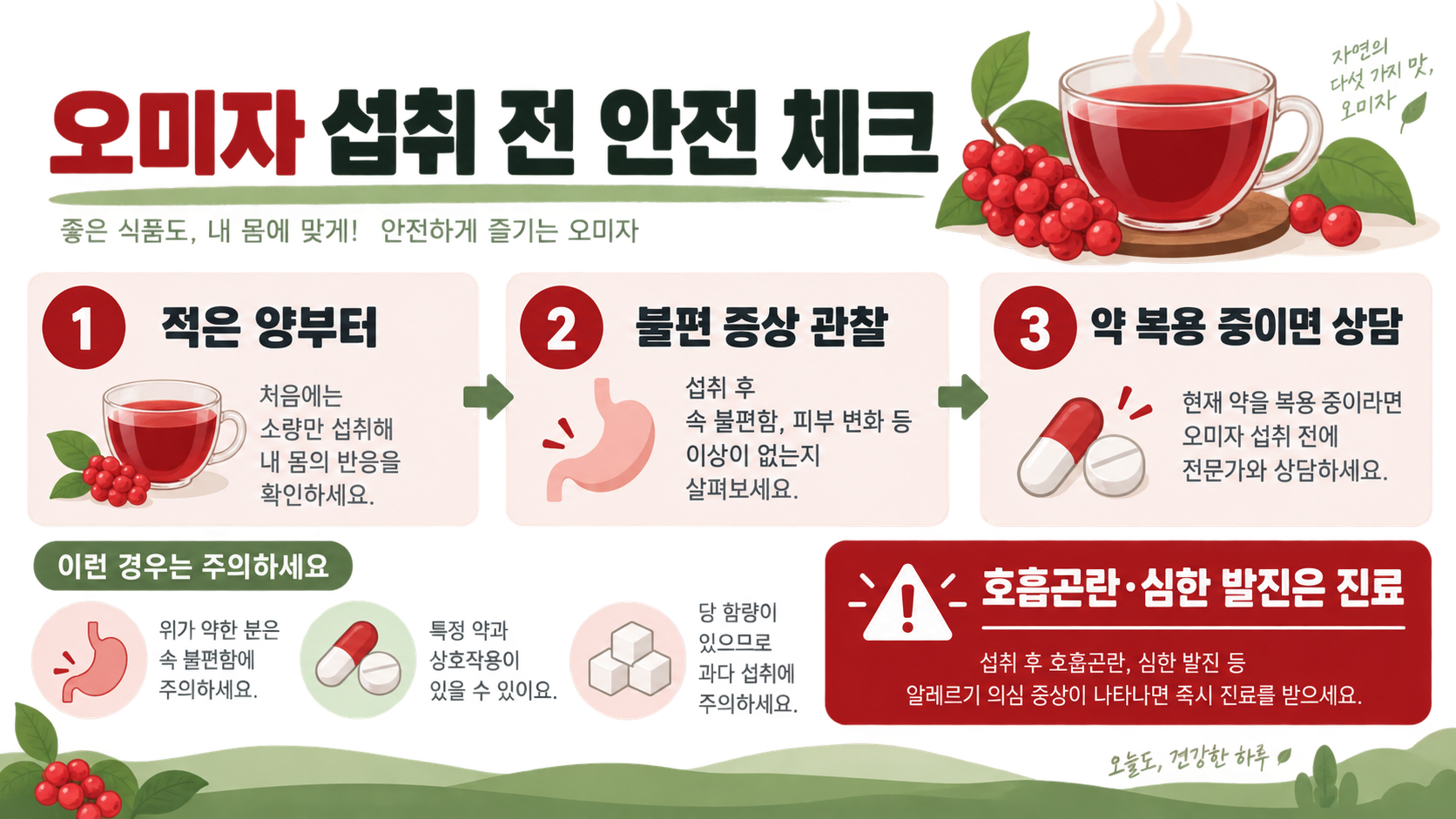 오미자 영양성분과 효능, 부작용과 먹는 법 확인 정보 카드