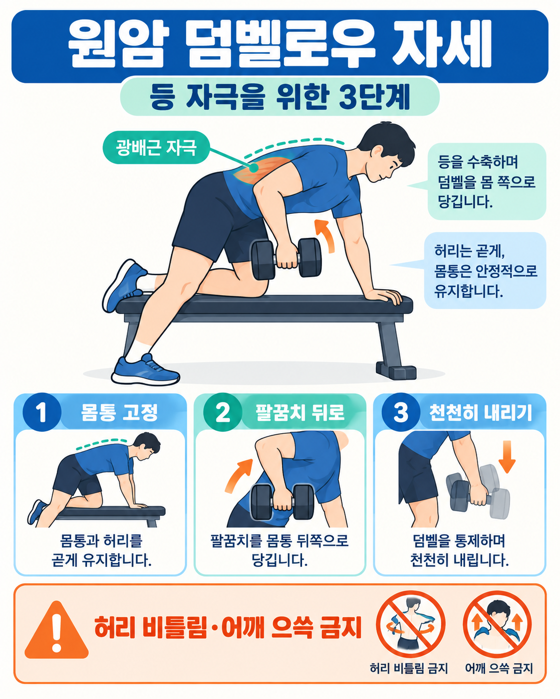 원암 덤벨로우 자세: 등 자극을 위한 체크리스트 정보 카드