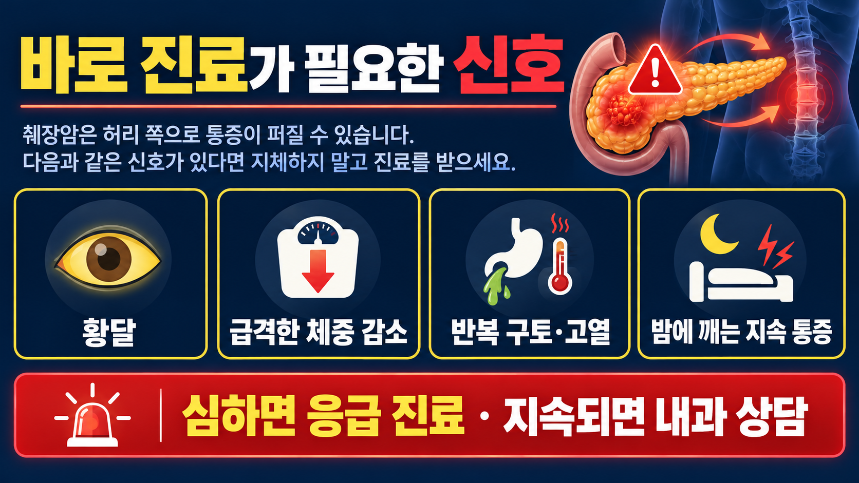 췌장암 등 통증 위치와 부위: 진료가 필요한 신호 확인 정보 카드
