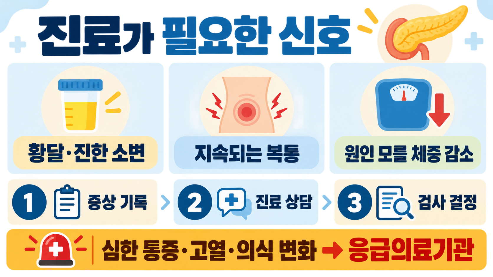 췌장암 의심 증상과 위험 요인: 진료가 필요한 신호 확인 정보 카드