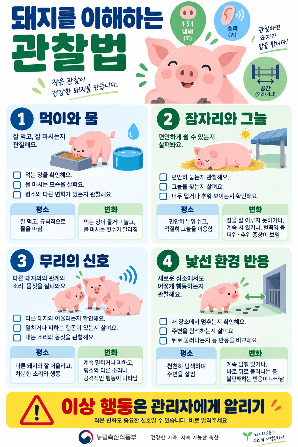 돼지는 왜 깨끗하고 똑똑할까? 오해를 바로잡는 7가지 이야기 확인 정보 카드