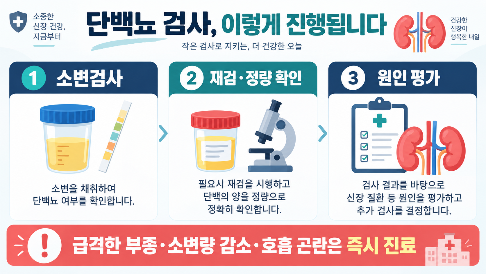 단백뇨 의심 증상과 검사·관리: 거품뇨를 확인하는 방법 확인 정보 카드