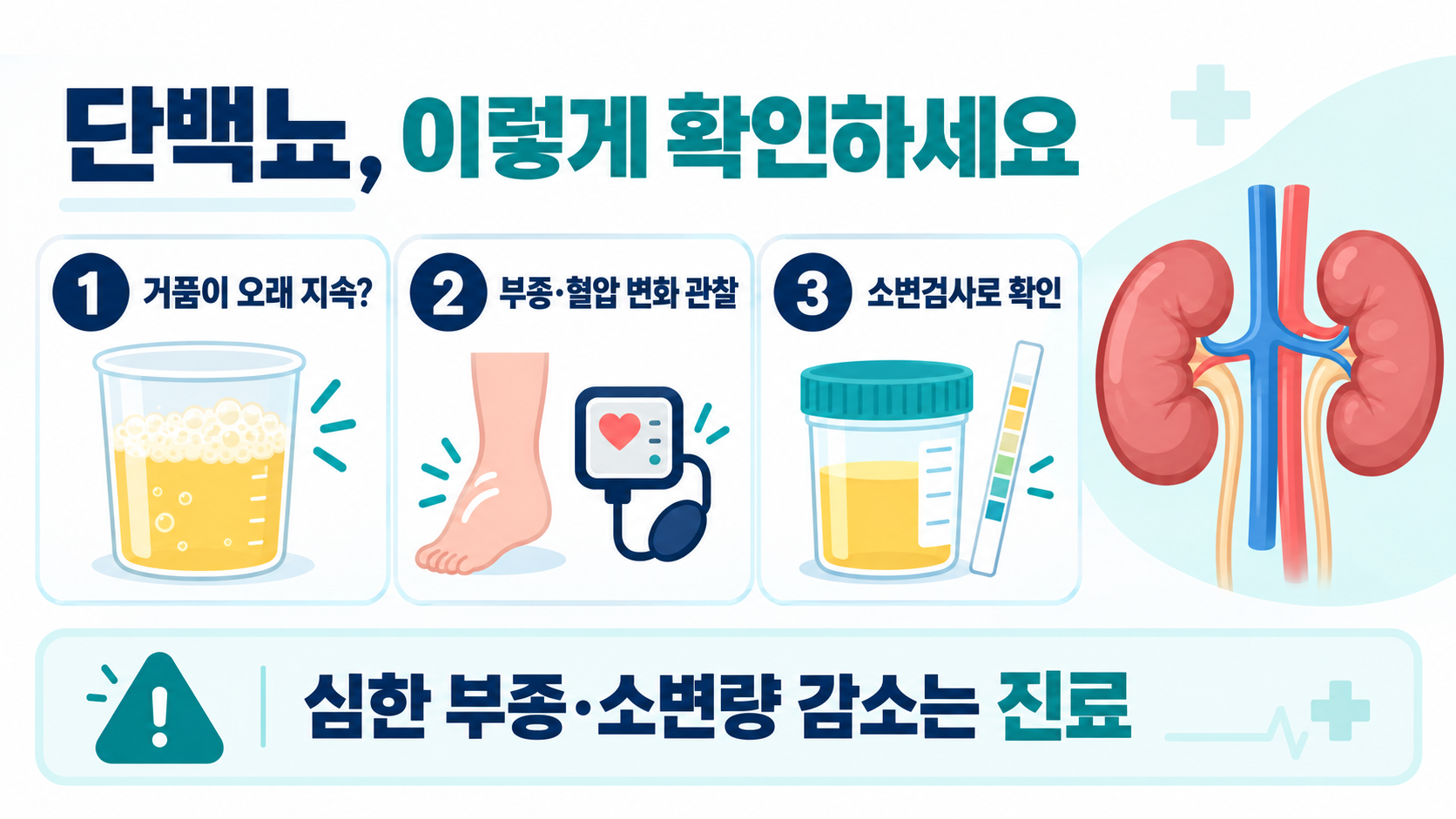 단백뇨 의심 증상과 검사·관리: 거품뇨를 확인하는 방법 정보 카드