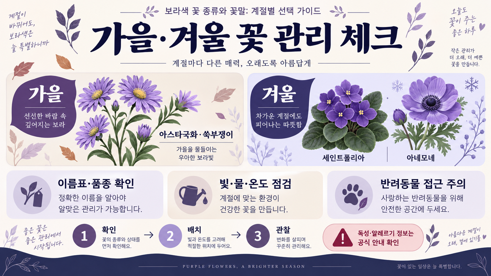 보라색 꽃 종류와 꽃말: 계절별 선택 가이드 확인 정보 카드