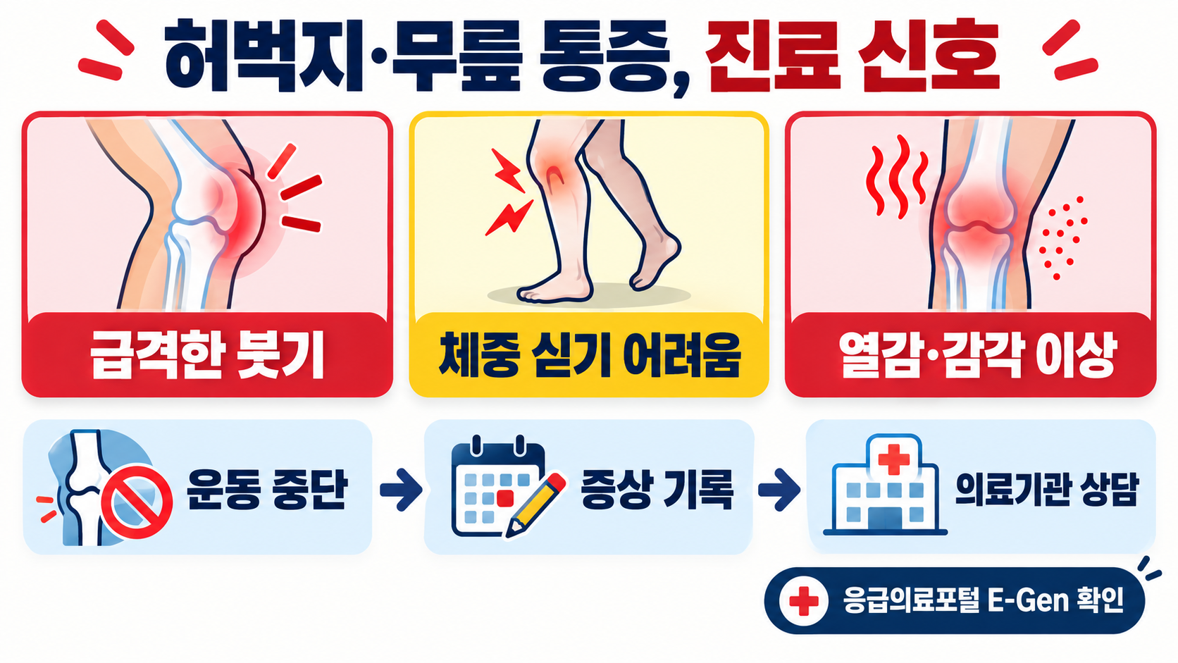 대퇴사두근 이해하기: 허벅지 앞 근육의 역할과 관리법 확인 정보 카드