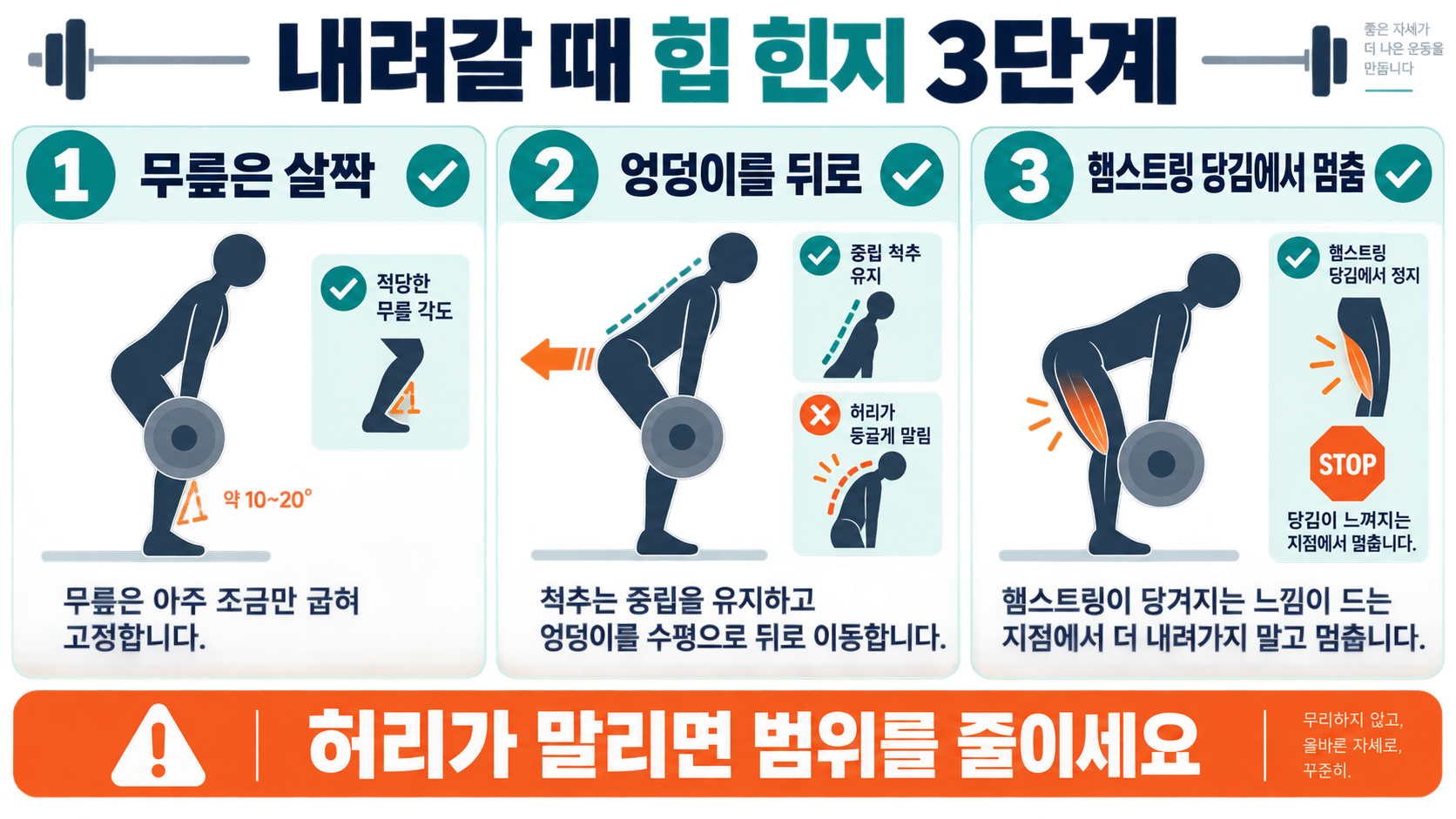 루마니안 데드리프트 자세: 햄스트링 자극과 허리 부담 줄이는 핵심 관련 정보 카드