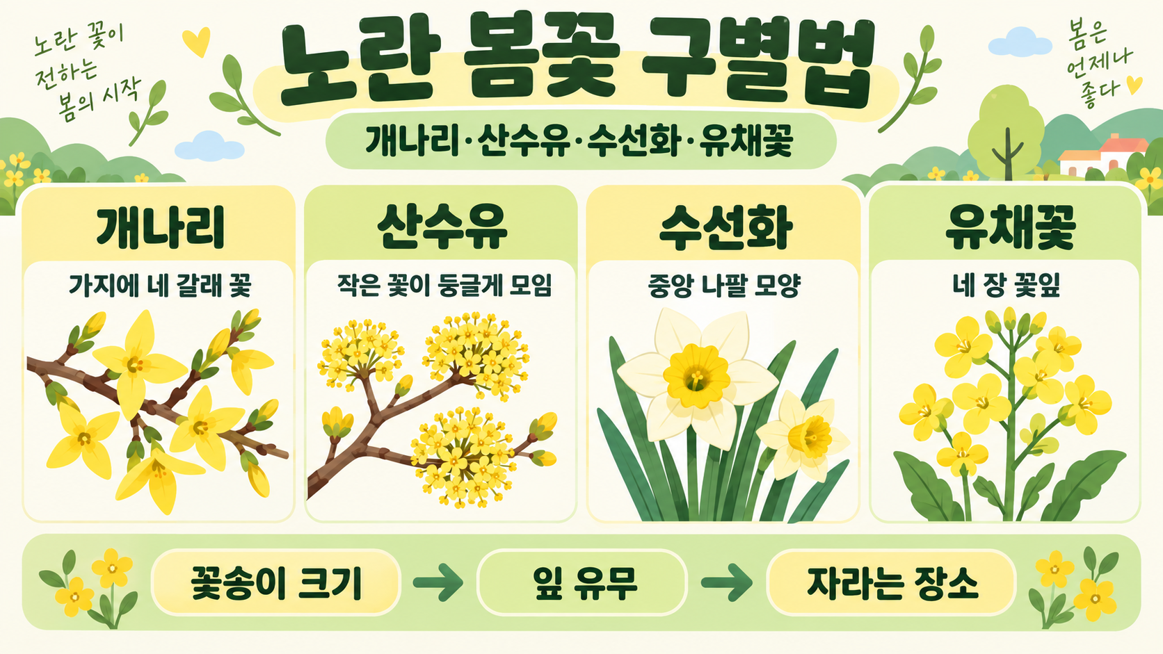 봄꽃 종류 30가지: 이름과 특징, 관찰 포인트 관련 정보 카드