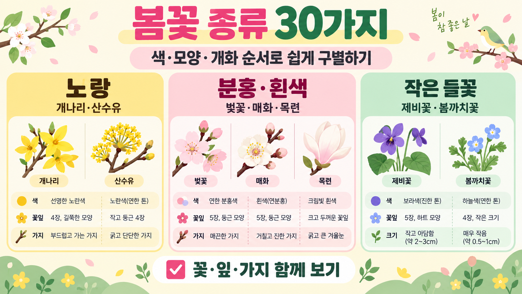 봄꽃 종류 30가지: 이름과 특징, 관찰 포인트 정보 카드