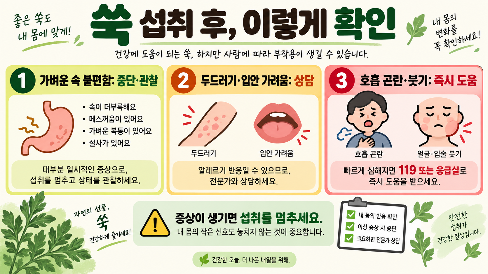 쑥의 효능과 부작용, 안전하게 먹는 법 확인 정보 카드