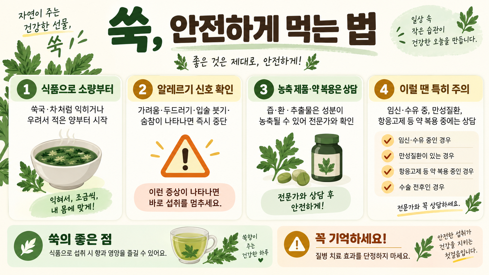 쑥의 효능과 부작용, 안전하게 먹는 법 정보 카드